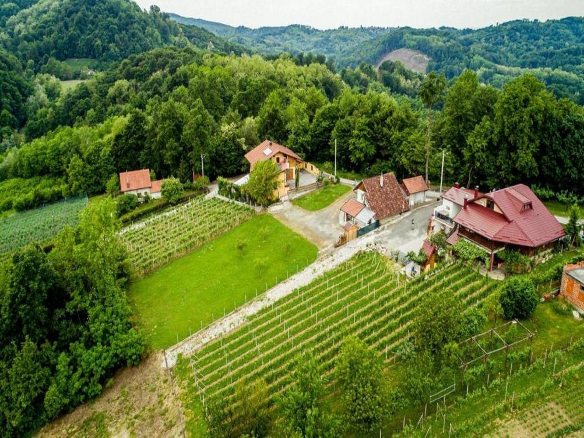 Kuca Za Odmor Mateja * Varazdinske Toplice